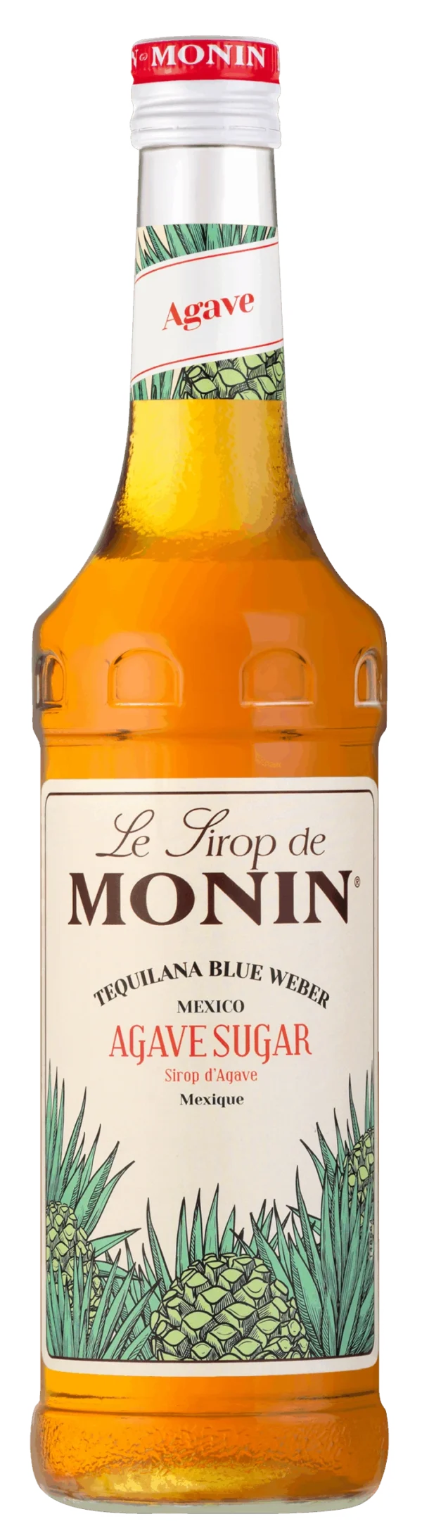 Le Sirop De MONIN Agave