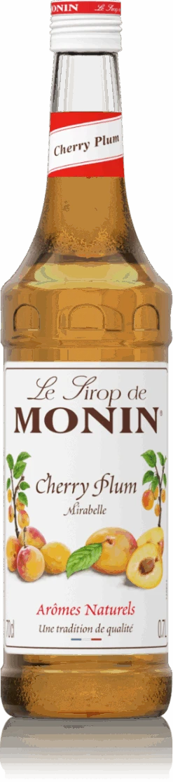 Le Sirop De MONIN Cherry Plum