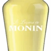 La Liqueur De MONIN Elderflower