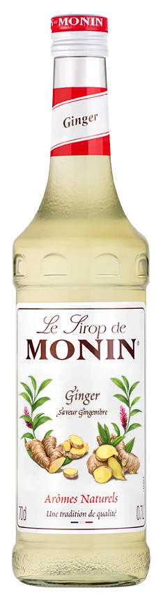 Le Sirop De MONIN Ginger