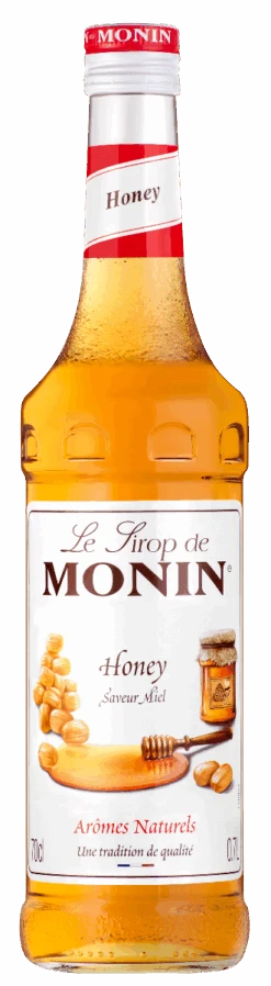 Le Sirop De MONIN Honey