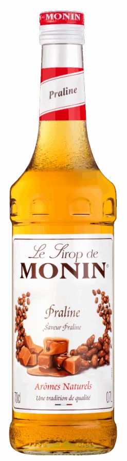 Le Sirop De MONIN Praline