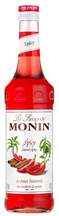 Le Sirop De MONIN Spicy