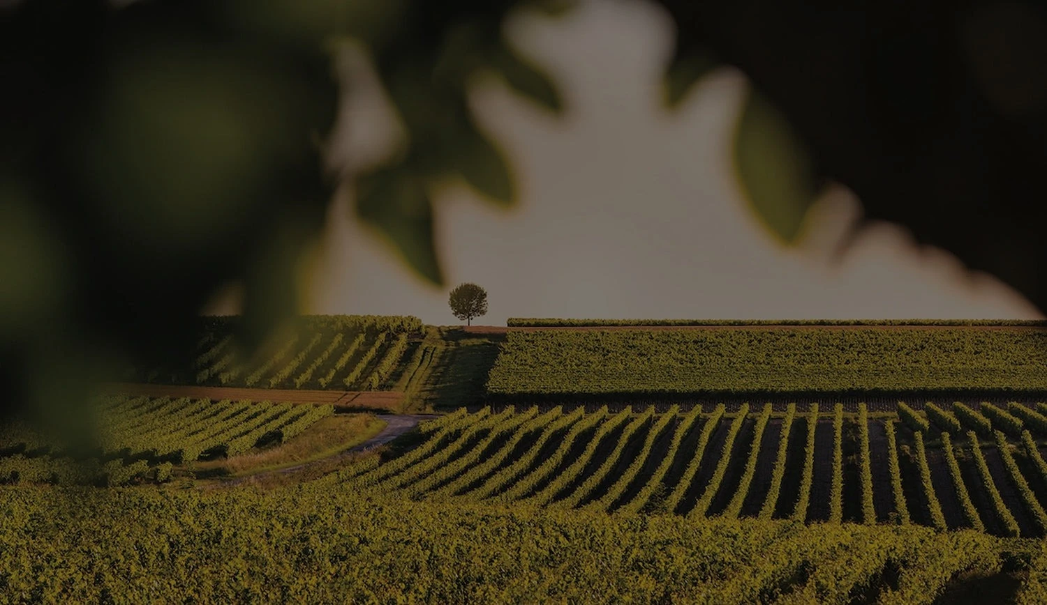 Monin 1912 Shop -Monin Sirop Store 180620 HENNESSY 4672 Alain Benoi